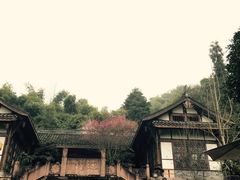 -凤栖山
