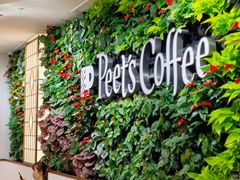 -Peet's Coffee皮爷咖啡(上海长风大悦城店)
