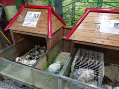 -上海大自然野生昆虫馆(东方明珠·爬宠昆虫探索中心)