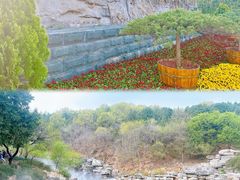 -北京西山国家森林公园