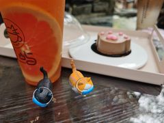 -喵屿·大理花园猫咖