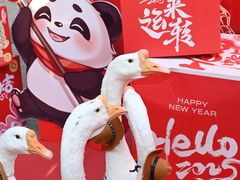 -灵玲国际马戏城
