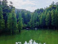 -广州市帽峰山景区