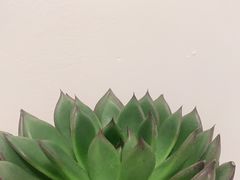 -西昌小院火盆烧烤(新街里店)