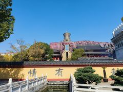 -上海东林寺(金山区)