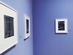 -旧金山现代艺术博物馆