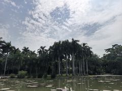 -中国科学院西双版纳热带植物园