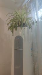 -奥丽维娅美容养生会所