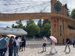 -五营红松林海景区