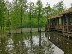 -溱湖国家湿地公园