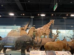 -浙江自然博物院(杭州馆)