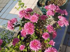 -第三空间·趣味桌游·轰趴.室内CS.剧本杀(大武汉1911店)