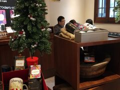 -星巴克臻选(思南公馆店)