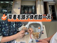 -思琪宠物医院(昆山花桥店)