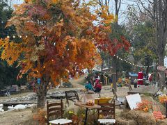 -HERRE·FARM 赫尔露营农场·团建聚会包场