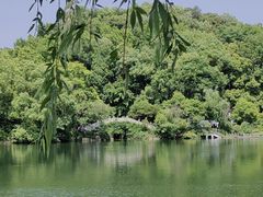 -杭州半山国家森林公园