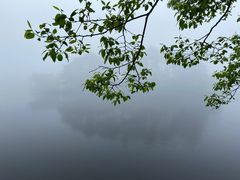 -庐山风景区花径公园