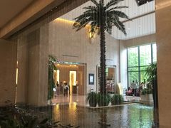-常州环球恐龙城维景国际大酒店