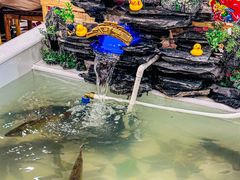 -九妹农家大铁锅东北菜(江湾店)