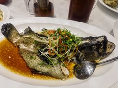 -眉州东坡·熊猫主题餐厅(枫蓝店)