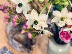 -G-Super 绿地优选(徐汇绿地缤纷城店)