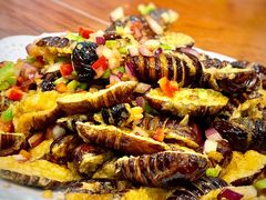 蚕蛹-老兵食堂(景新街店)