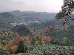 -十里琅珰