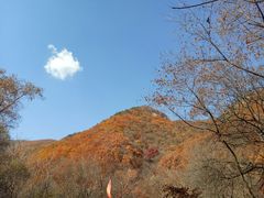 -龙道沟景区