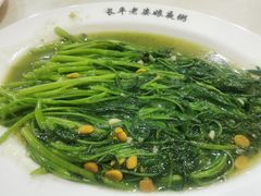 豆醬空心菜-长平老姿娘夜粥(平东一街店)