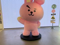 -line friends(明洞旗舰店)