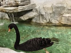 -Zoolung Zoolung动物主题公园(海信广场店)