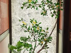 -金链花·泰国餐厅(国贸店)