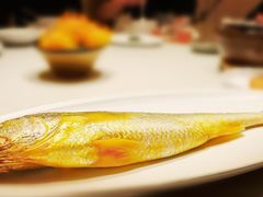 黄鱼-新荣记(新源南路店)