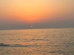 -渡海小渔村.老辈日照菜