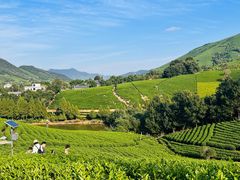 -帐篷客·溪龙茶谷度假酒店