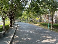 -风云岭森林公园