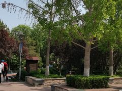 -大兴滨河森林公园