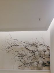 -YESIDO椰岛美容