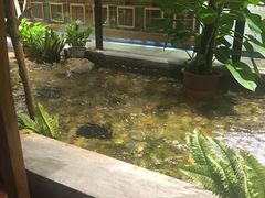 -紫霞门韩国料理烤肉(深南东路店)