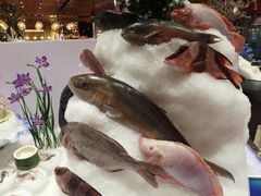 -丰卓会海鲜自助(中润大道店)
