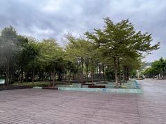-白鹭洲公园