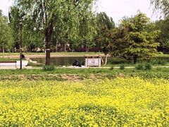 -北坞公园