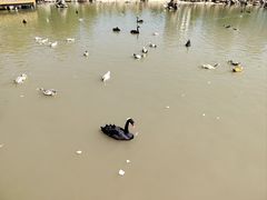 -青藏高原野生动物园