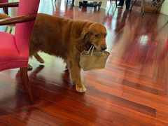 -阳澄湖费尔蒙酒店颐丰阁中餐厅(马鞍山西路店)