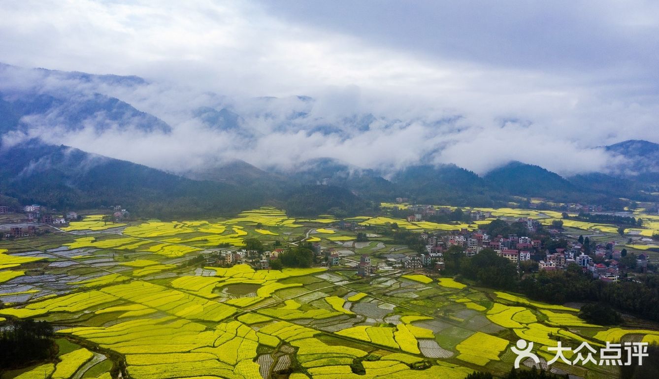 春意在田间地头慢慢铺开，万亩油菜花成片绽放