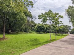 -盘龙城国家考古遗址公园