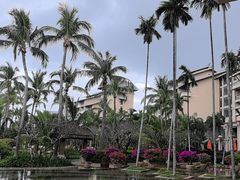 -亚龙湾希尔顿自助餐厅·海鲜·烧烤·沙滩BBQ·现场乐队