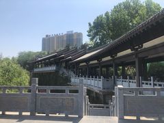 -龙鳞路第一家牛肉汤