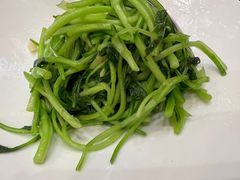 炝炒丝瓜尖-玉华台饭庄·淮扬菜·烤鸭(望京店)