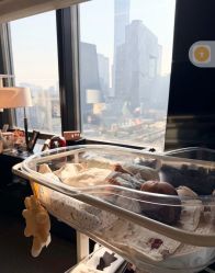 -茉莉智慧母婴护理中心(瑰丽店)